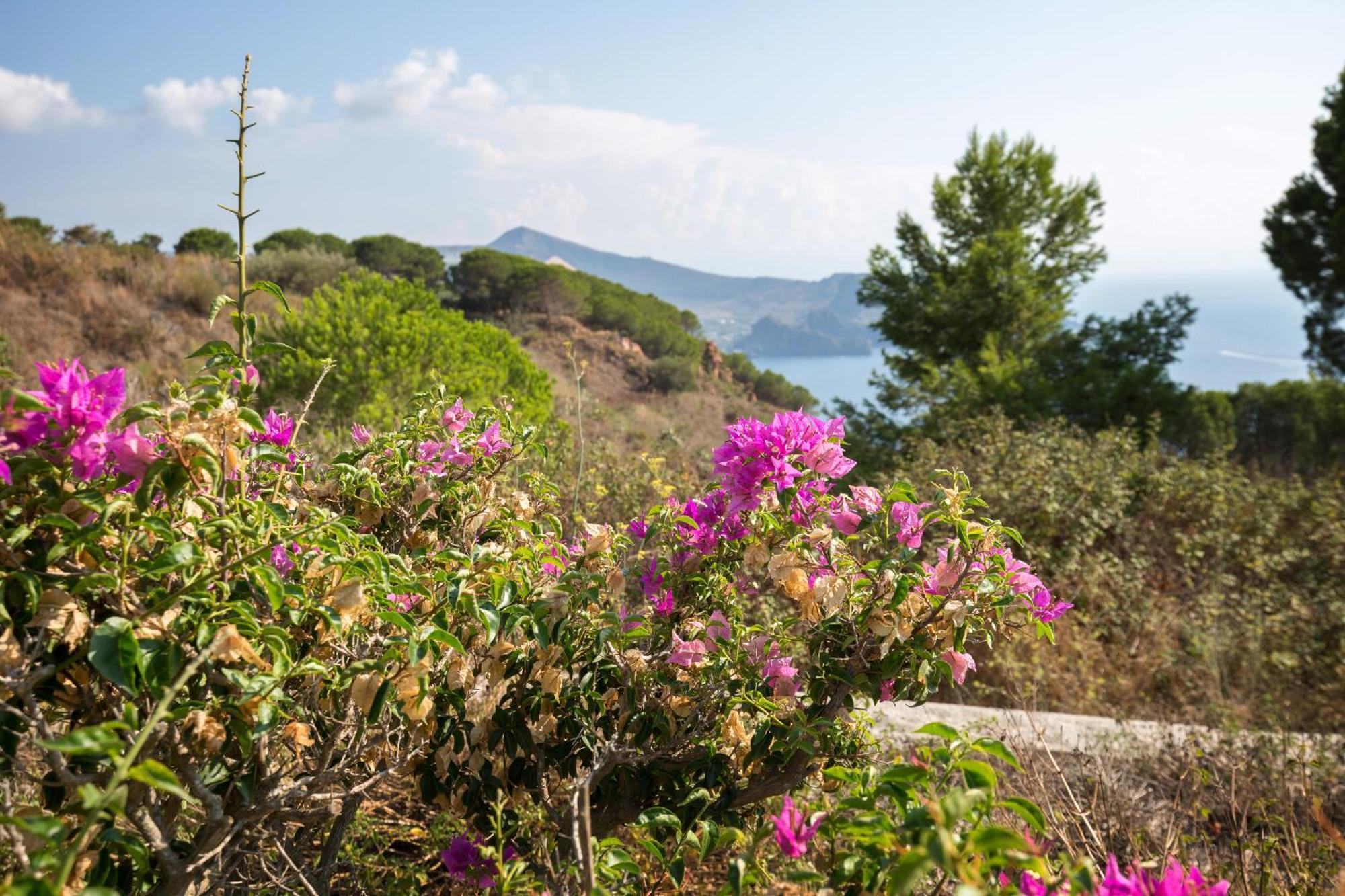 Sealight Villa Lipari - Vista E Piscina Bagian luar foto
